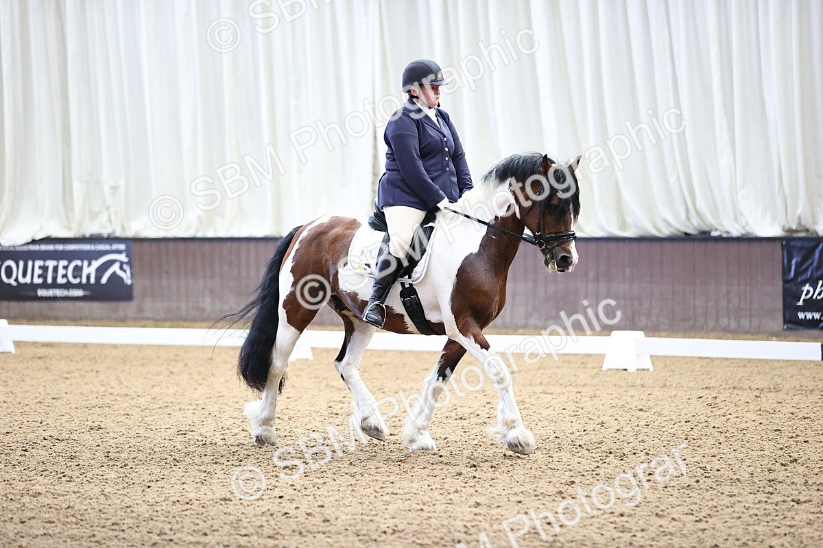 SBM_000472 - Novice 4 Warm Up