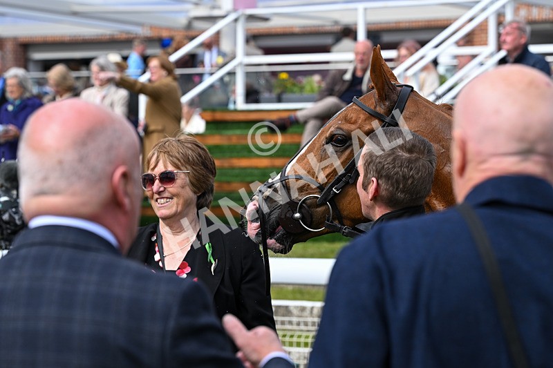 150526-Race 6-Fortification-8590 - Race 6 4.40pm Irish Thoroughbred Marketing Handicap