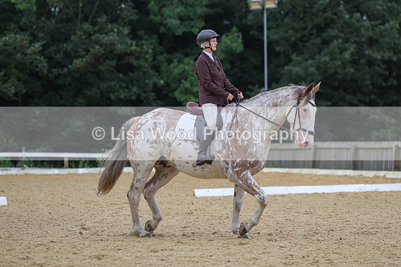 3E7A5025 - Class 2: Intro 4 2024 section B