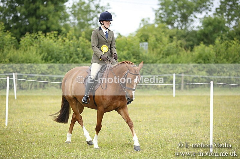 BVR160717-329 - Ring 1 BVRC Show 16/07/17