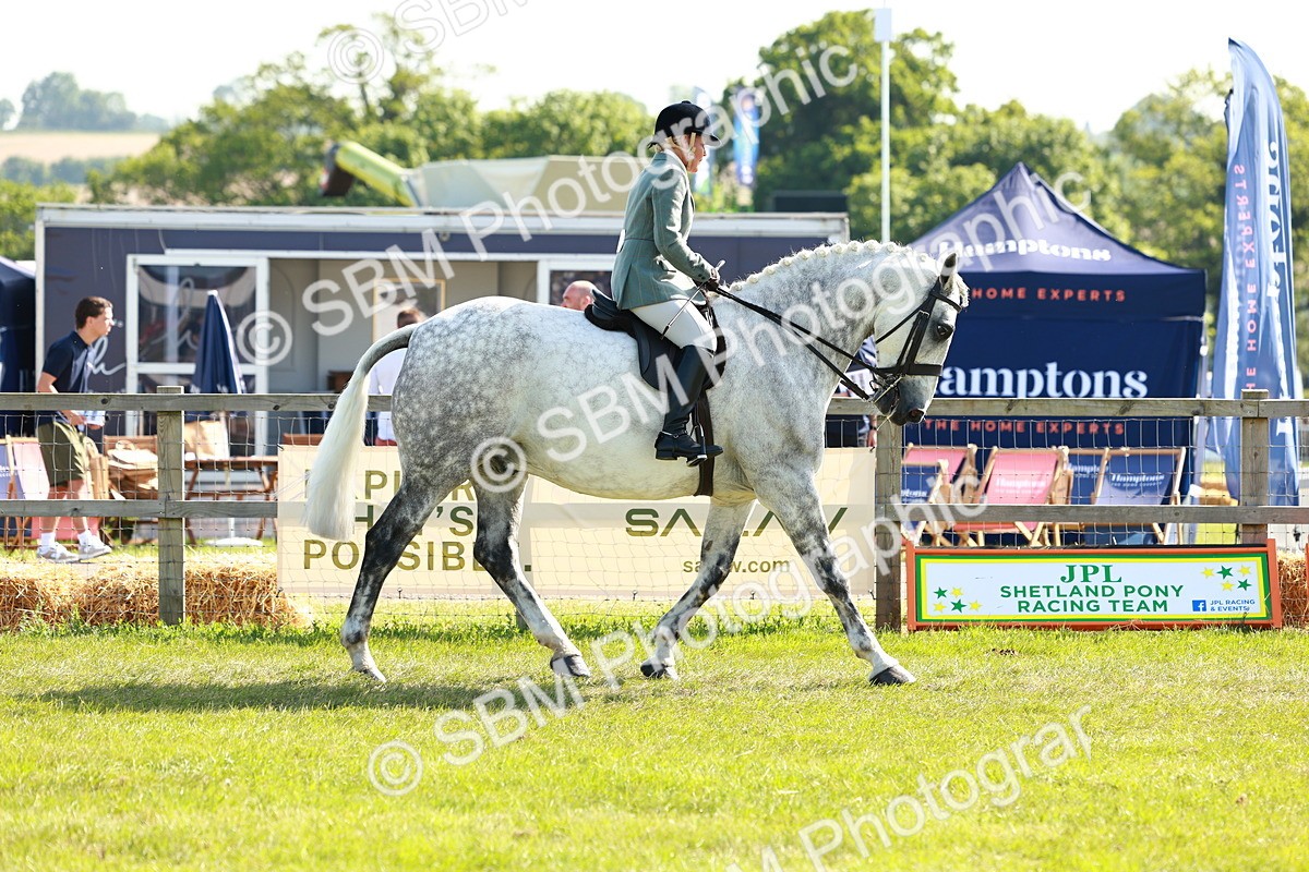 SBM_11890 - Class 66-69 - RIHS Ridden Hunters Inc Small Hunter