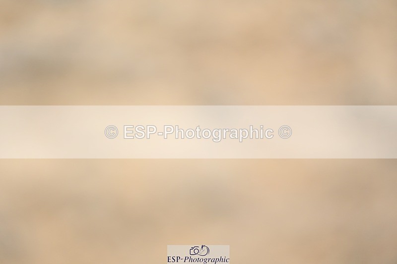 230813-091446-05804 - Cls 12 Elem Silver Start to 10.10 break