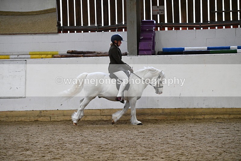 WJ5_6289 - Class 9 Ridden Veteran