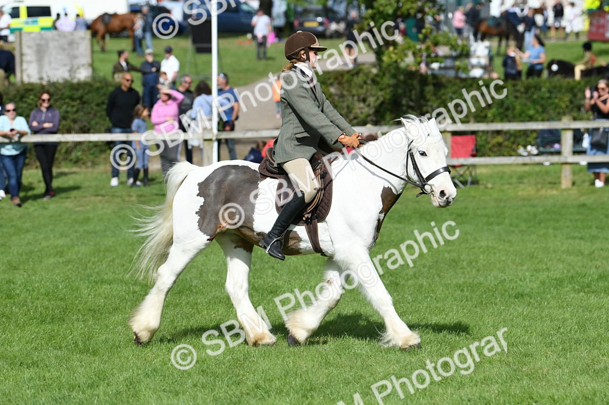 SBM_47015 - S12 - Family Horse & Pony