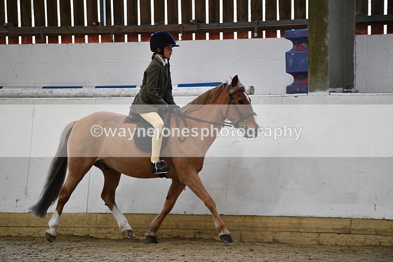 WJ5_6246 - Class 9 Ridden Veteran