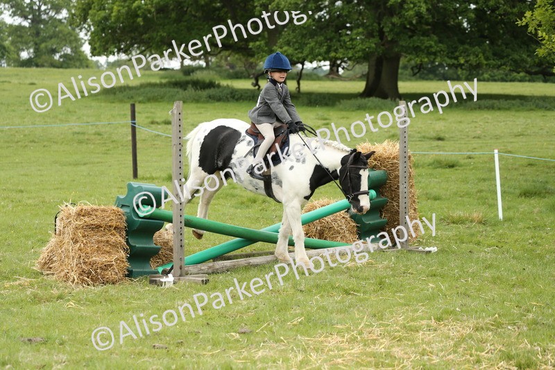20250517-0494 - Class 20 - Beginners Working Hunter