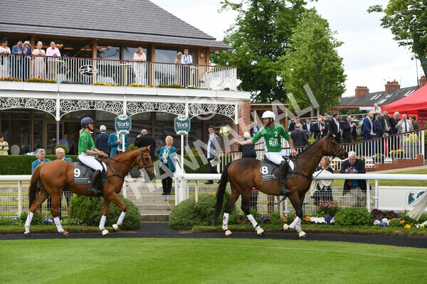 yr22052022r8e-4 - ROR - Parade Ring York