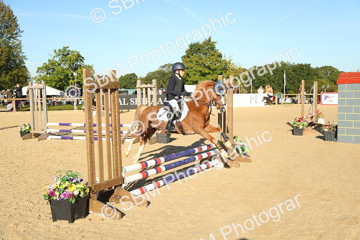 SBM_35002 - J5 - Junior Pony 50cm Championship