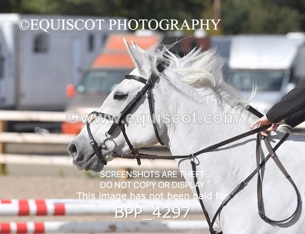 BPP_4297 - CLASS 6 HORSE 60CM FINAL