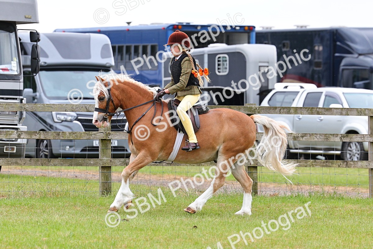 SBM_08743 - Class 42-43 - LIHS BSPS Heritage Working Sports Pony