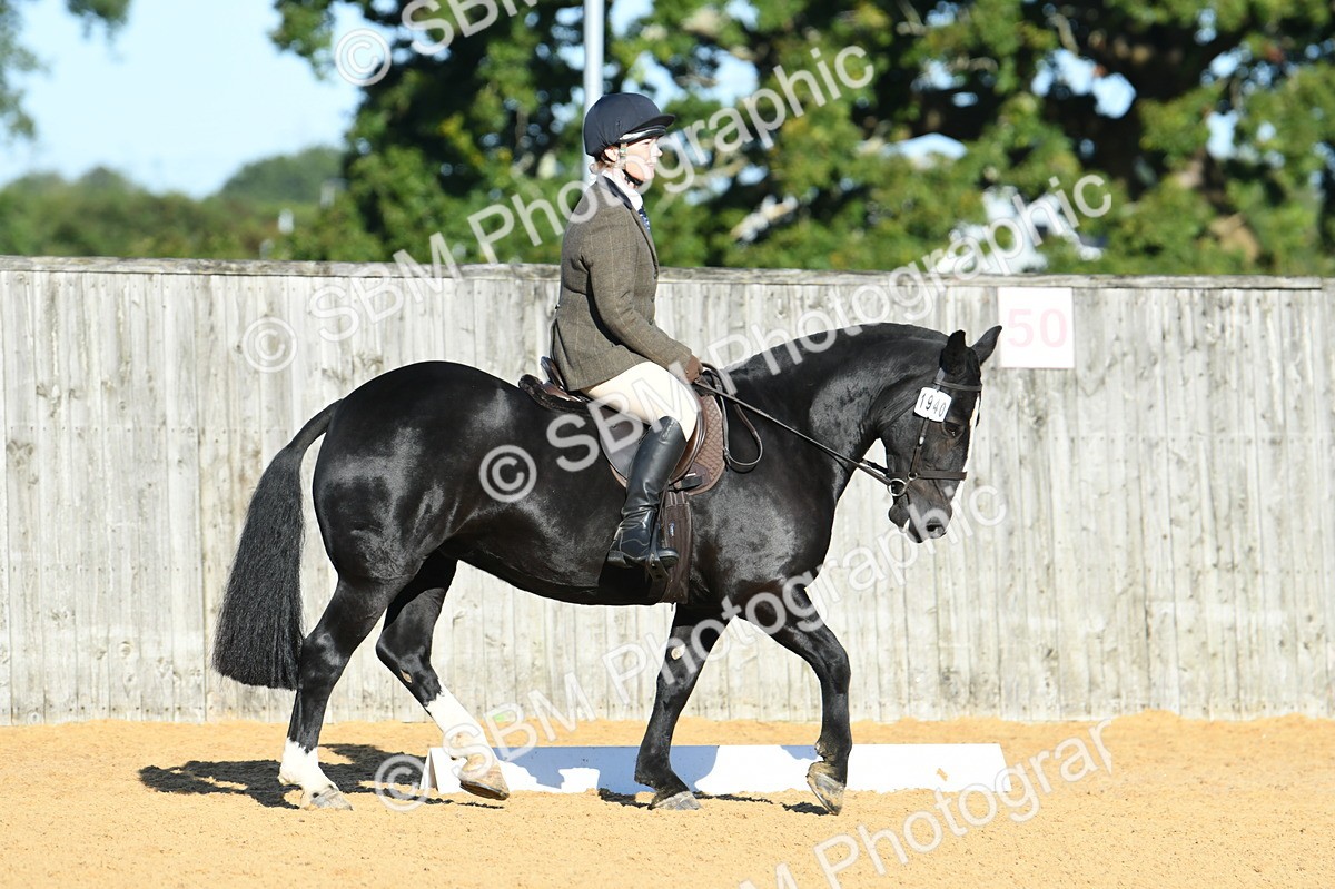 SBM_16076 - D4 - Small Tour Championship - Intro B