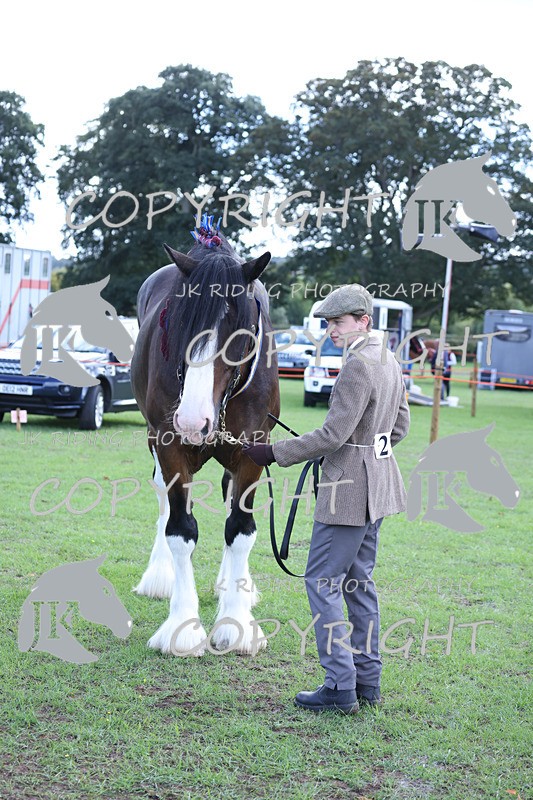 APP_3431 - Class 6 Young Handlers