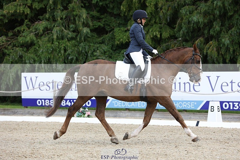 230812-134648-04311 - Cls 5 Novice Bronze 13.40 to 14.45 break