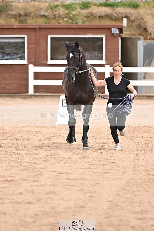 250716-151146-01745 - Trot Up 2.30 to 3.30