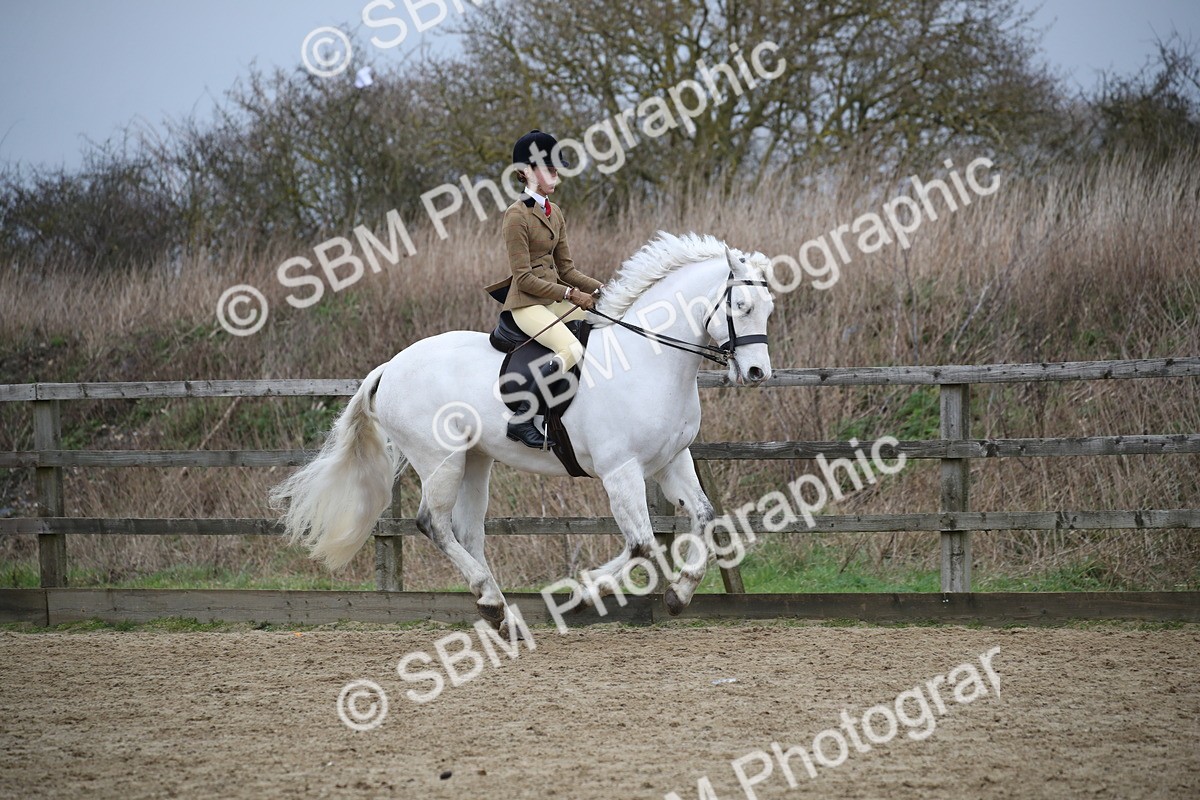 SBM_006108 - Class 10-13 - RIHS Small Large Breeds