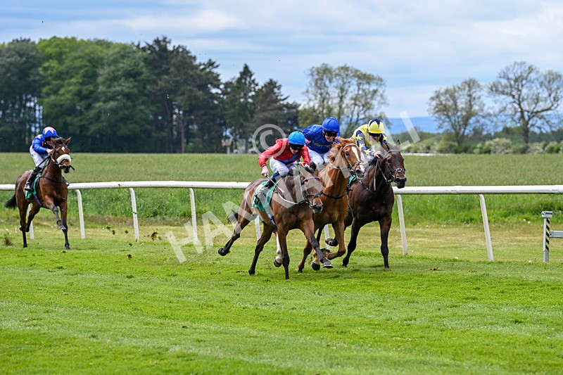 160526-Race 3-Caraway-9519 - Race 3 3.00pm Metaxas Handicap
