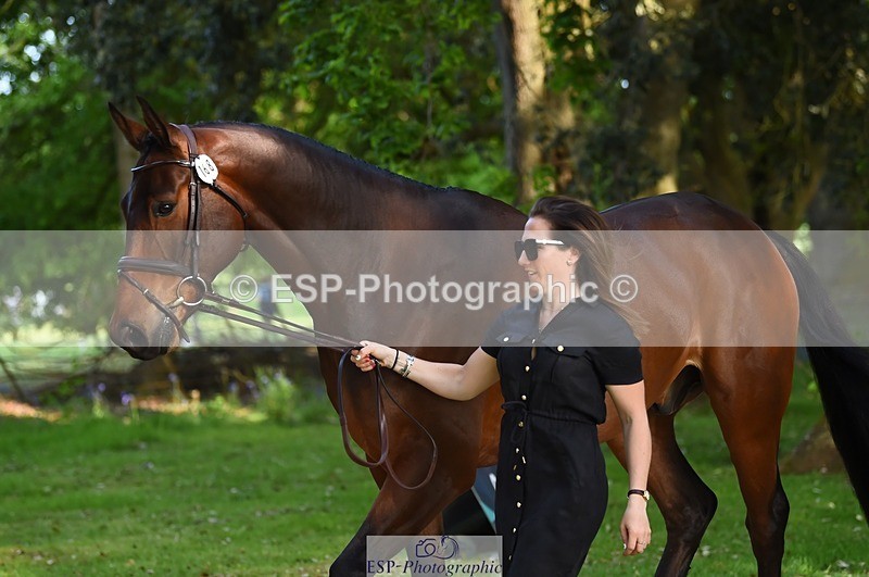 230524-171744-01412 - 168-PARKFIELD_ARTIE_BLOU-Laura_Collett-WEDTrotUp+DR