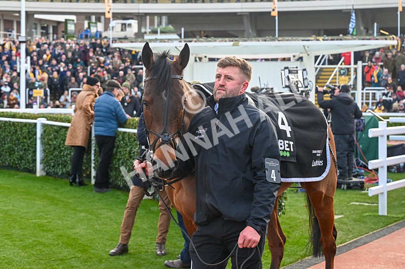 250125-Race 5-Joyeux Machin-3530 - Race 5