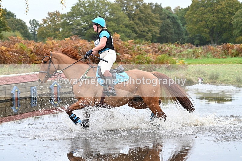 WJ7_2716 - 90cm Cam 2 Water Time 13:05 to 13:27