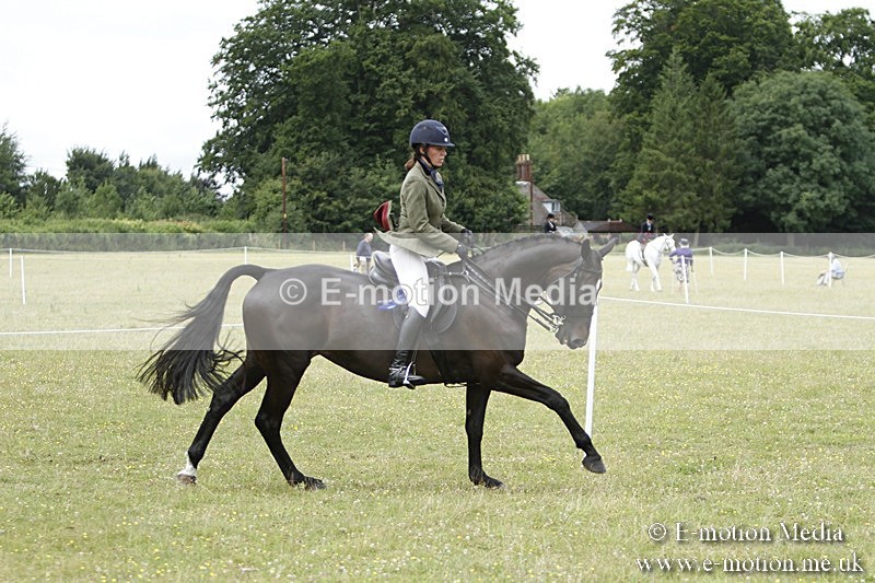 BVR160717-2298 - Working Hunter Championship 16/07/17