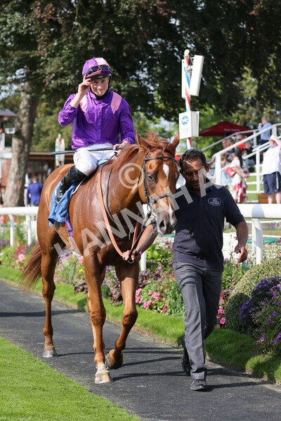 yr05092021r3-28 - Race 3 3.15pm The BioWaveGo Garrowby Stakes