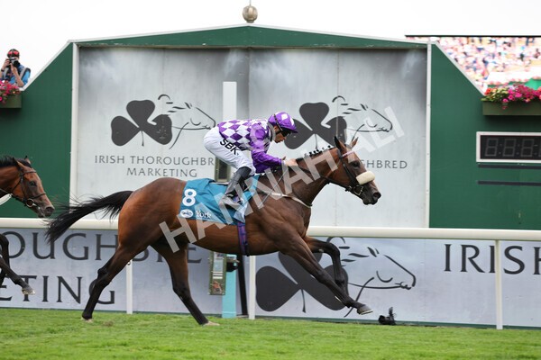 yr22072022r4-35 - Race 4 6.50pm The IRE Incentive It Pays To Buy Irish EBF Restricted Novice Stakes