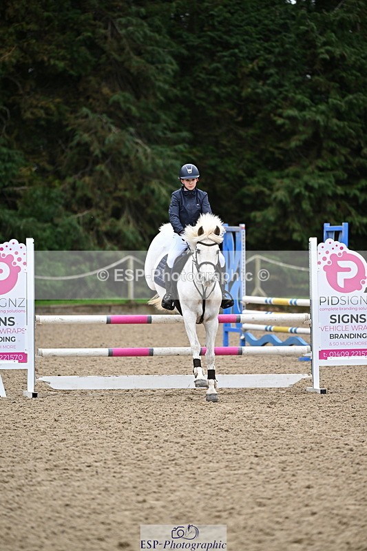 250201A-093447-00014 - Cls 01 Local Horse 90cm