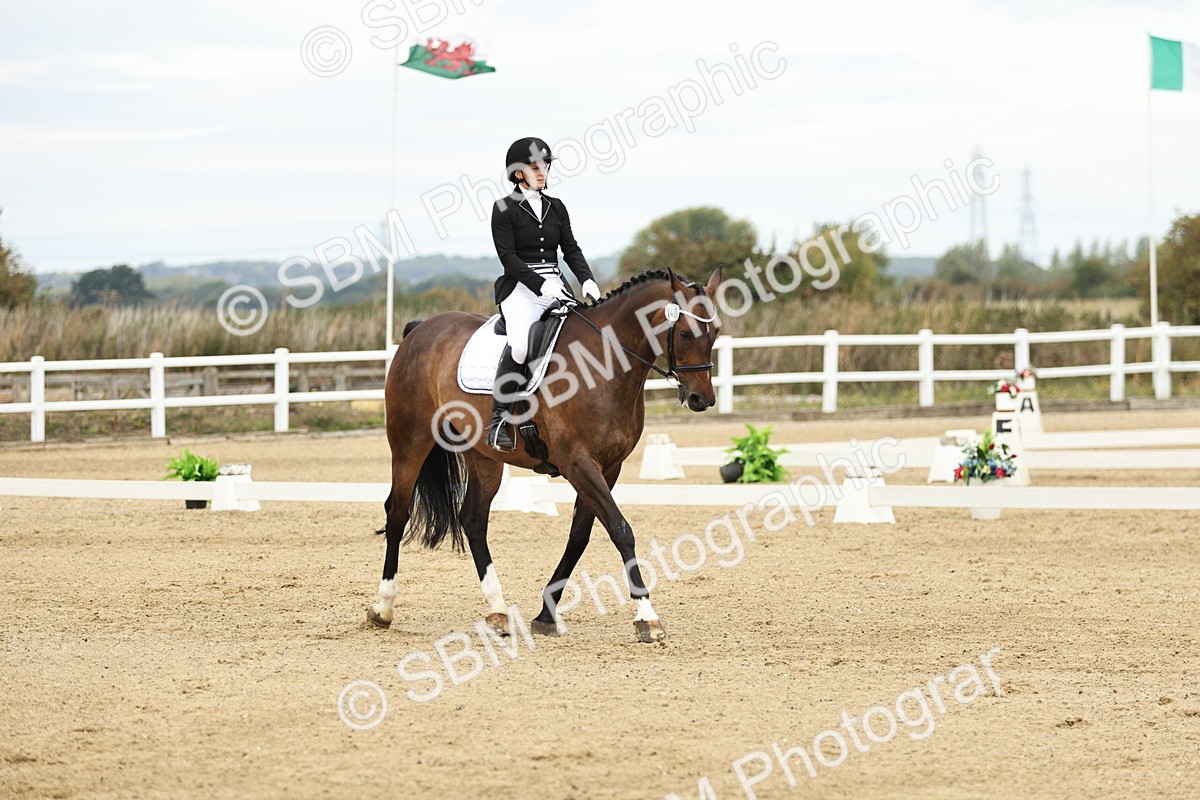 SBM_006561 - Class 21 - Medium 5 Bronze - 9.08-9.48