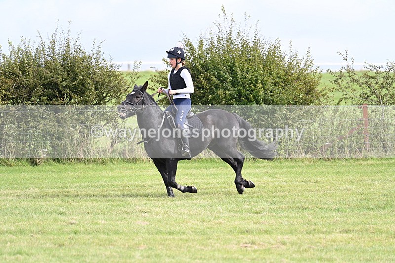 WJ7_6362 - Time 11:29 to 11:45