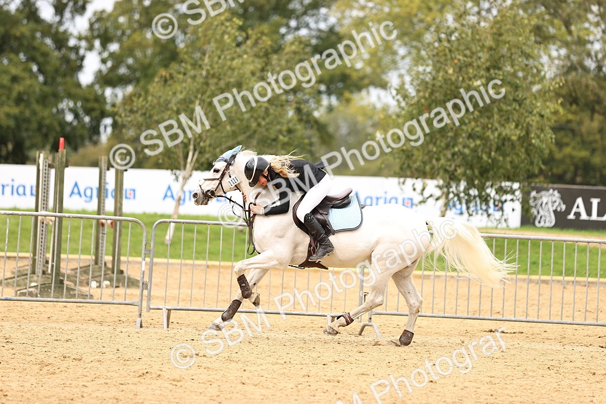 SBM_62937 - Supreme Championship 95cm 1.00m