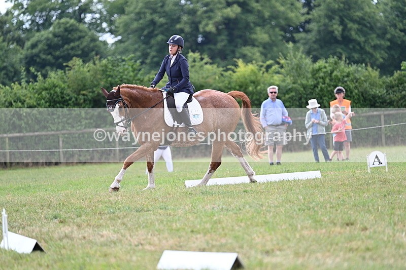 WJ7_5909 - Time 11:52 to 12:10