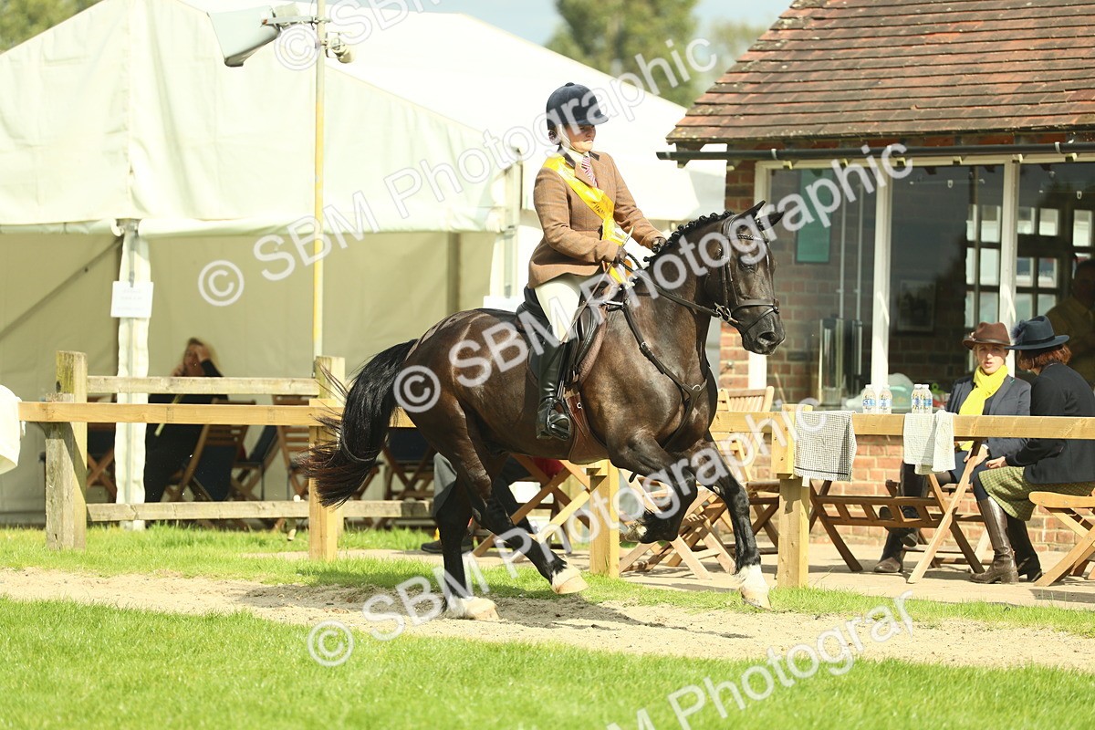 SBM_44918 - Working Hunter Pony Supreme Championship