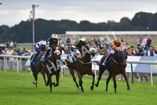 yr24092021r7-41 - Race 7 4.55pm William Hill Free or Four Fillies' Stakes
