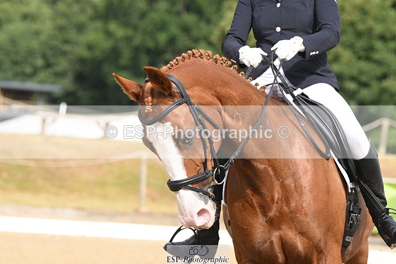 250720A-100014-09378 - 039-Caroline.Toman-D-Pandora.Ramall