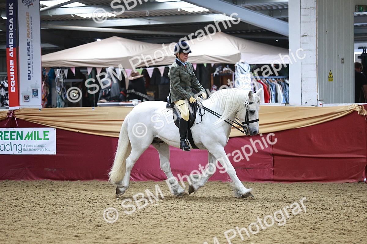 SBM_08251 - Class 11R - Regional Ridden Veteran