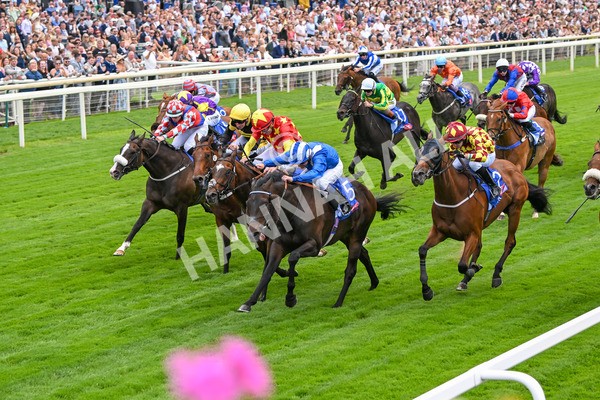 260725-Race 2-Elmonjed-7248 - Race 2 2.00pm Sky Bet Dash Handicap