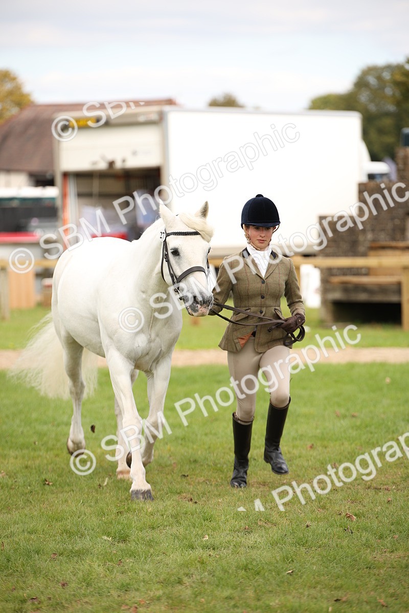 SBM_46367 - S25 - Mature Veteran In Hand