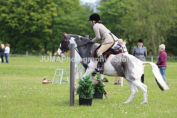 IMG_3234 - Working Hunter
