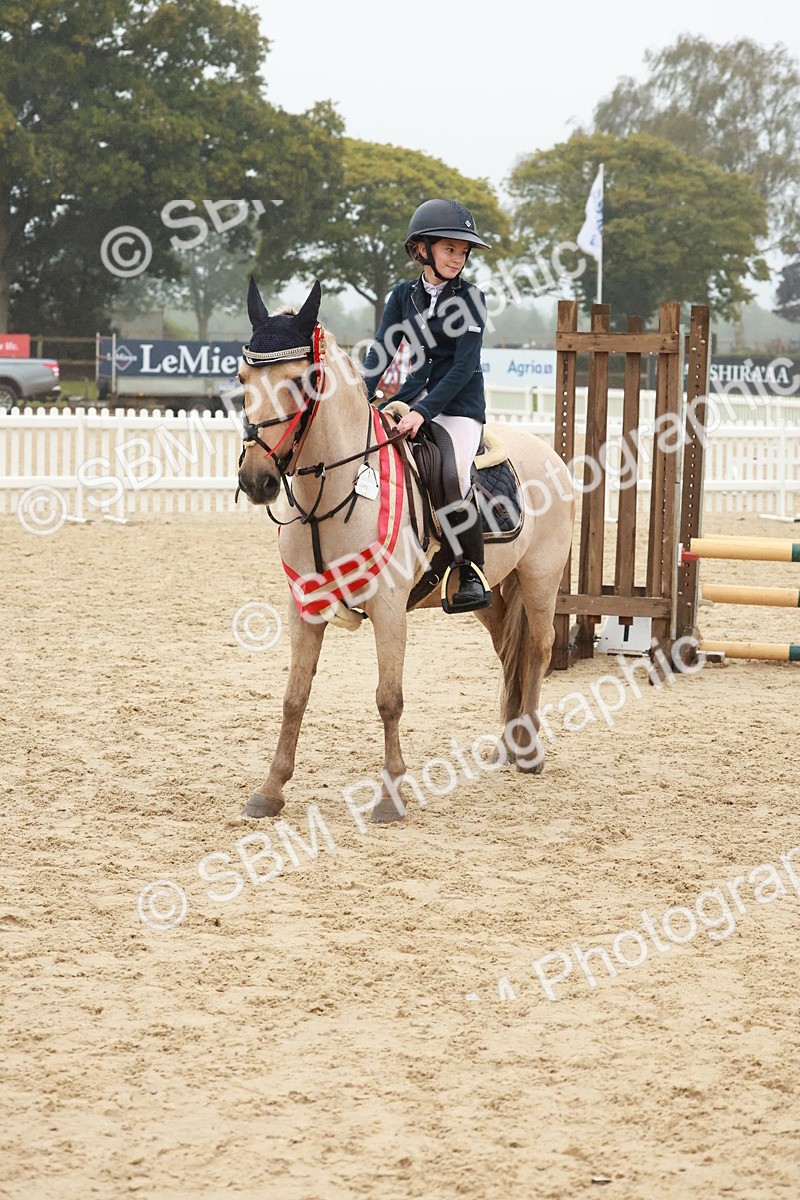 SBM_73504 - Supreme Championship Junior Pony 60cm & 65cm