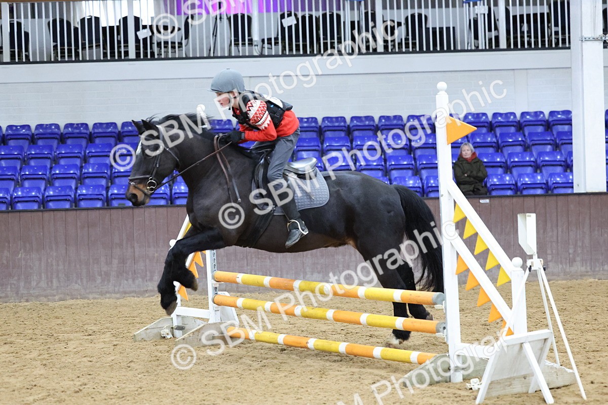 SBM_001172 - Class 3 - Christmas Tree Stakes - 60cm