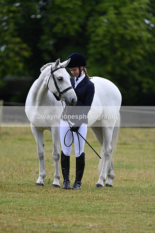 WJ7_6356 - Class 4a Prettiest Mare over 14hh