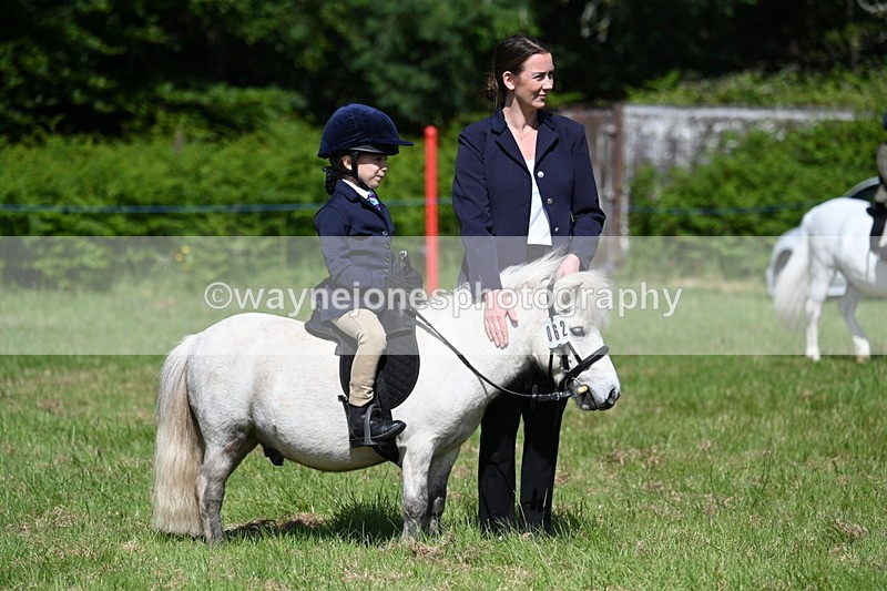 WJ7_0773 - Class 8 First Rally Pony
