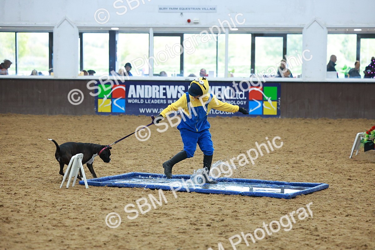 SBM_002255 - Class 3 - Horse & Hound (60cm)