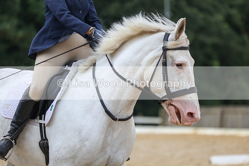 3E7A9323 - Class 4: Prelim 3 2024 - Section B