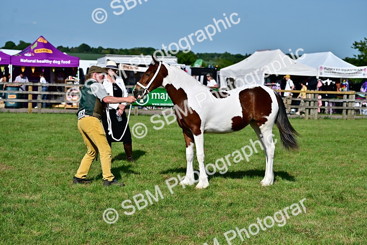 SBM_10023