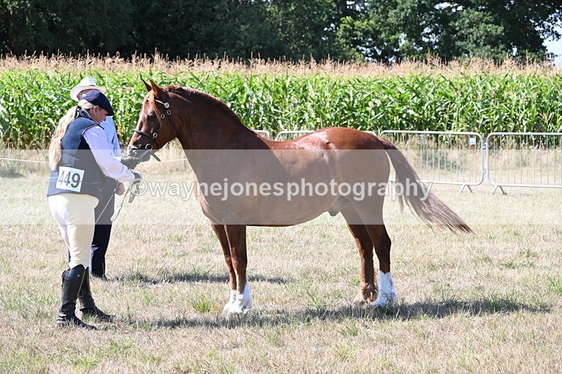 WJ6_4824 - Class 17 Mountain & Moorland