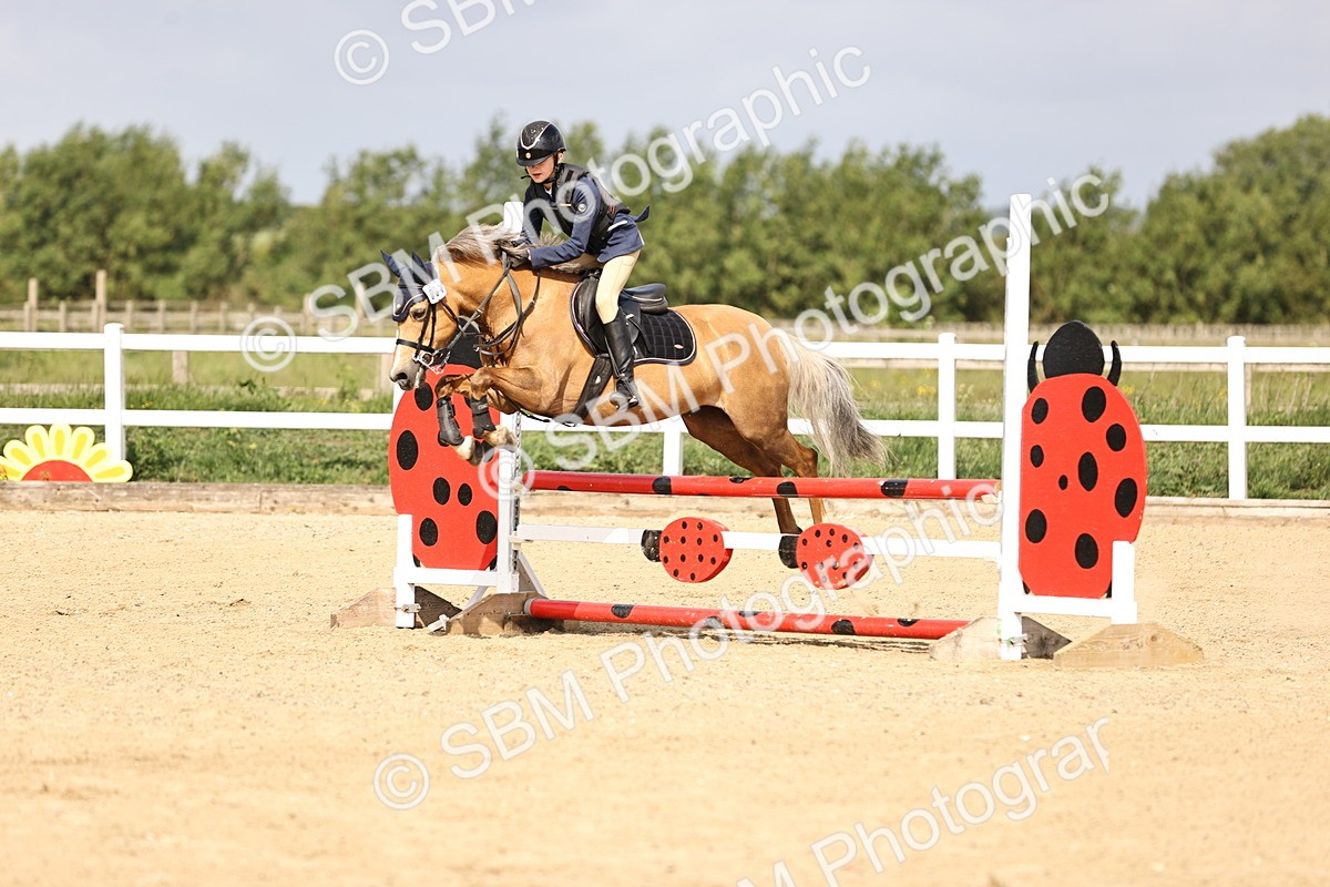 SBM_006636 - Class 1 - 70cm showjumping