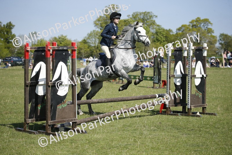 20250427-2164 - Class 13 - Novice Jumping 60cm