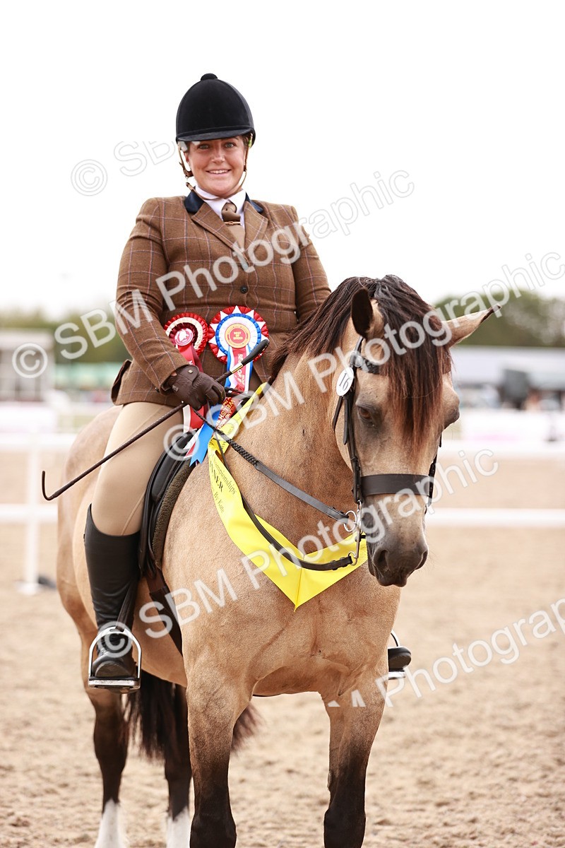 SBM_19084 - Class 422 - Ridden M&M