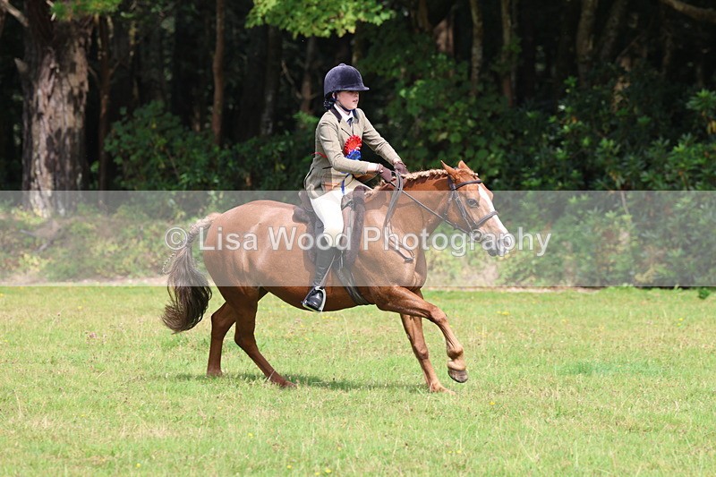 3E7A6100 - Working Hunter Championship